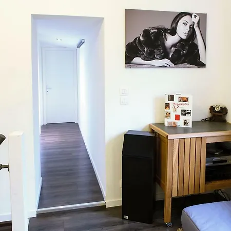 Sfk -maison Moderne-jardin-parking-10mn Strasbourg *